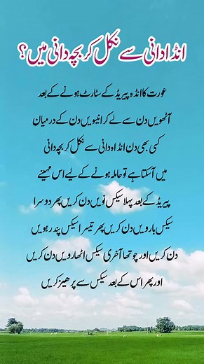 Unveiling History: The 4,500-Year-Old Tunic at the Egyptian Museum" #AncientHistory #Historical Treasures #archaeologylovers #Egyptian Museum #golden post #facebook Post #Urdu Post 🌟👍💛🔥💫 | M R official