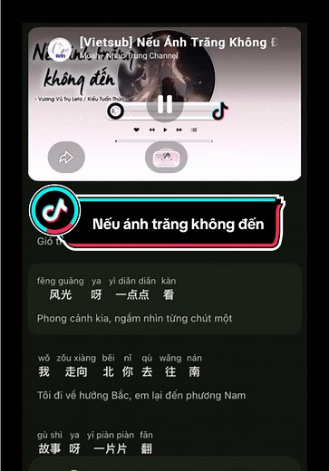 Nếu Ánh Trăng Không Đến - Học hát tiếng Trung (Pinyin & Lời Việt)