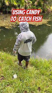 What happens when you use candy as fish bait