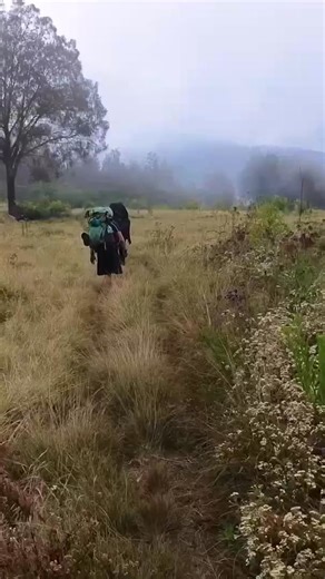 Ryan Mac on Instagram: "What an incredible place to stop for lunch during our 44km trek through the mountains of East Java 🇮🇩 📍 Mount Argopuro"