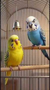 The Great Seed Heist: Mission (Almost) Possible 🕵️‍♂️