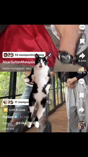 Aisar Khaled dan Fuji: Perayaan Kebudayaan Malaysia