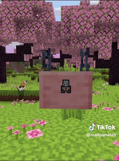 Hidden Features of Minecraft Signs in Bedrock Edition