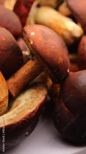 Boletus mushroom, rotation in circle. Cep, Porcini mushrooms, forest mushrooms, Turning. wild mushroom season. Vertical video