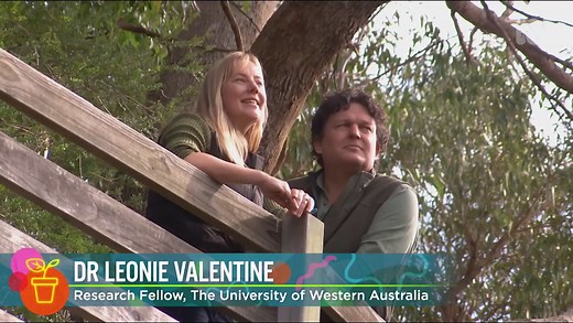 Return to Quenda - Gardening Australia
