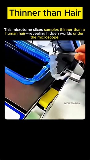Microtome Magic: Slicing Worlds Thinner Than Hair