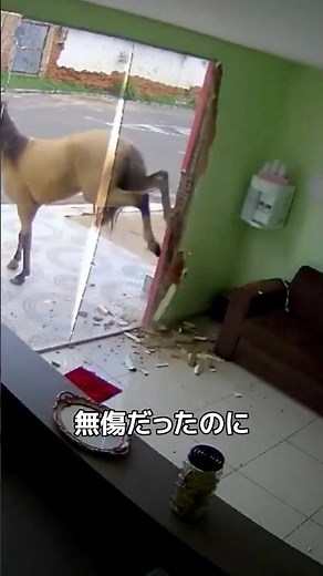 強化ガラスが小さな衝撃で壊れる理由