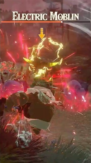 Electric Moblin Battle! #hyrulewarriorsageofimprisonment