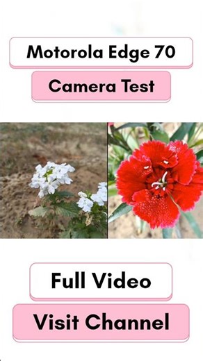 Motorola Edge 70 camera test | camera quality review