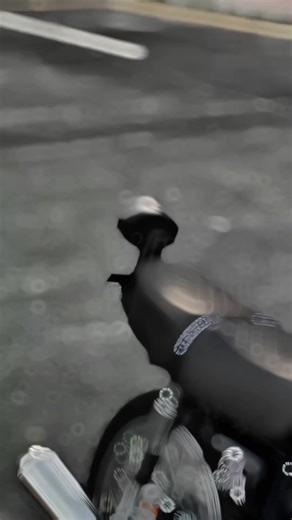 Exploring the Honda 125 Motorcycle Experience