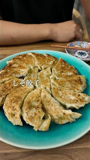 しそ餃子 #夜ごはん #cooking #晩酌 #japanesefood #餃子