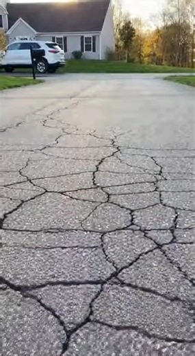 🛠️ Visualize Before You Build! Paver Pros leverages advanced 3D design technology to help clients visualize their outdoor spaces before construction begins. This innovative approach eliminates guesswork and ensures complete satisfaction with the final design. Their skilled installers then bring those digital visions to life with precision craftsmanship and attention to detail. ✅ 3D design visualization ✅ Expert paver installation ✅ Custom patio creation ✅ Walkway and path construction ✅ Drivewa