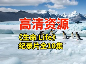 纪录片《生命 Life》全10集1080P高清资源