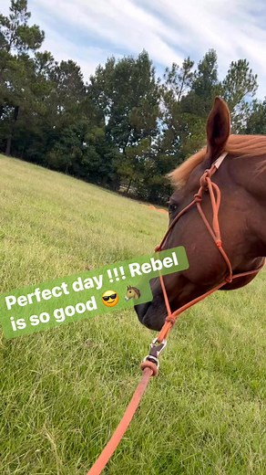 Cathy E Griffin on Reels