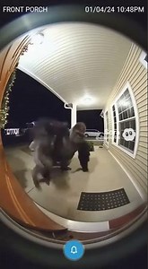 Kobe Bryant ai fight vs gorilla?? #ytshorts #nba #athlete #viral #ytshorts #soralife #kobebryant