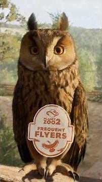 THE BEST BIRD YET?! Planet Zoo 2’s New Feature Focus.