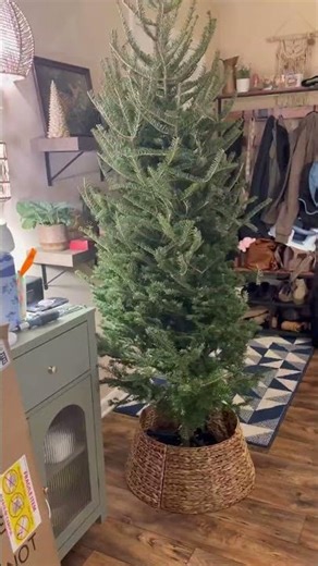 We love this rattan design for our Christmas tree!