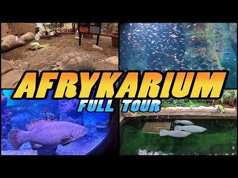 AFRYKARIUM Zoo Wrocław Walking Tour - Africarium Zoo Wrocław - Poland (4k)