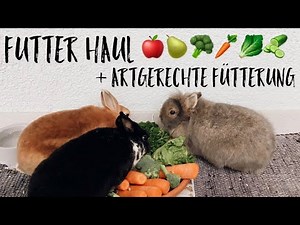 Kaninchenfutter Haul / Artgerechte Fütterung