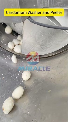 Automatic Potato Washer and Peeler Machine | Cardamom Washing&Peeling Equipment for Factory Use