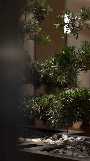 44K views · 62 reactions | The experience is designed to stimulate...