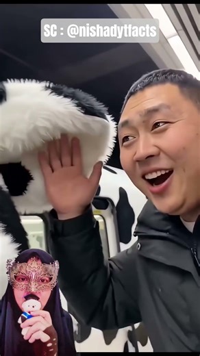 Kereta Api Sapi ‼️ nishadytfacts #train #shorts