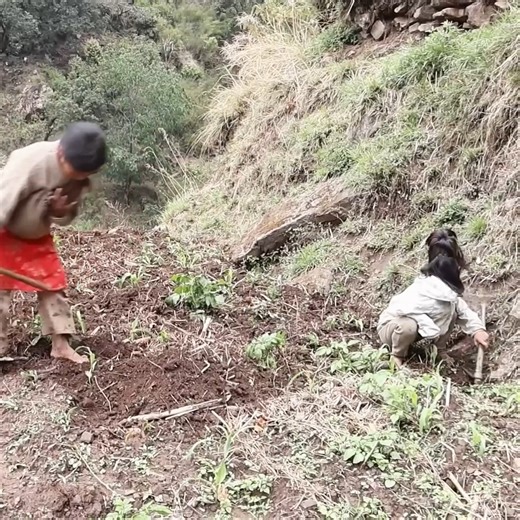 Traditional washing technology of happy family in village rural. | Village Lifestyle