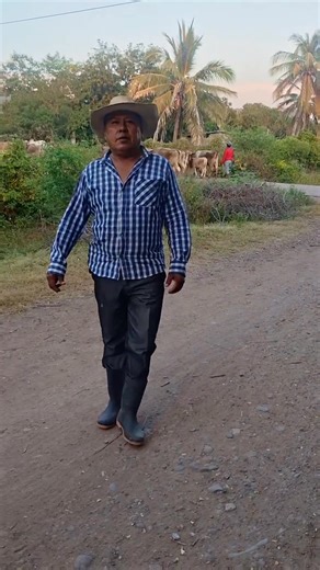 Las vacas #farmesrmarket #comunitymarket #localevent #localfood #foodevent #song #wordplay #localeats #petparenting | Pizzeria Gourmet