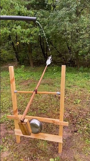Simple Bird Repeller DIY to Protect Your Garden and Home