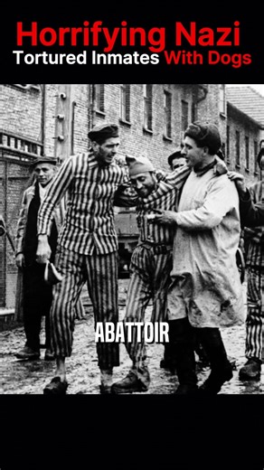 Horrific Execution Of Sadistic Auschwitz Guard Kurt Hugo Müller #TheFirstHunt #usarmy #specialforces #WWII #history | The First Hunt