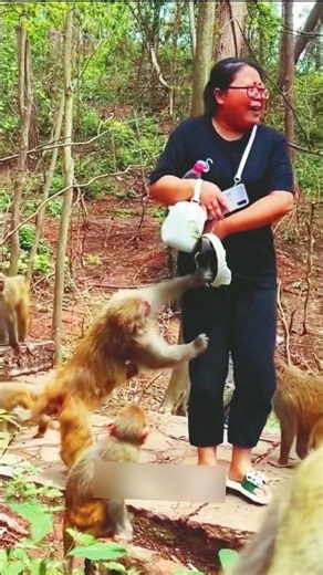 🐒 MONKEY ATTACK! Funniest & Craziest Monkey Moments 2026 | Caught On Camera 😱#shorts