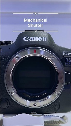Canon R6 Mark II High Speed Shutter Sound|Mechanical vs Electric Shutter #camera #canonrf #rflens