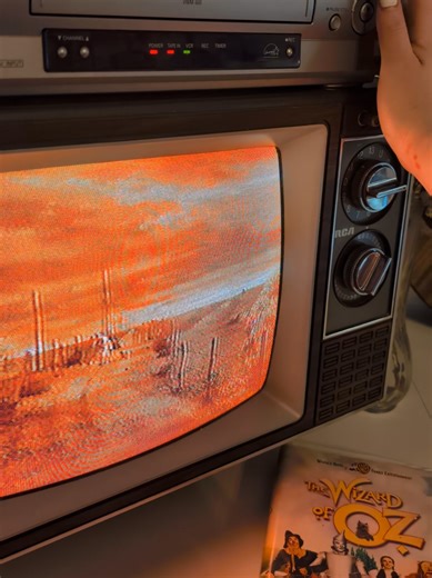 And all for the price of $0! The TV was being thrown away, the VCR and Tapes all were given to us by my MIL, and I am THRILLED! ✨ #vintage #vhstapes #oldschool #nostalgia #fyp