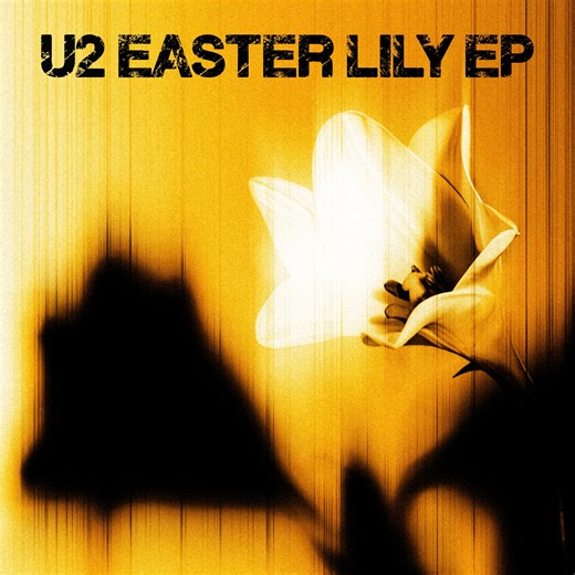 新曲6曲入りEP『イースター・リリー』配信 - U2
