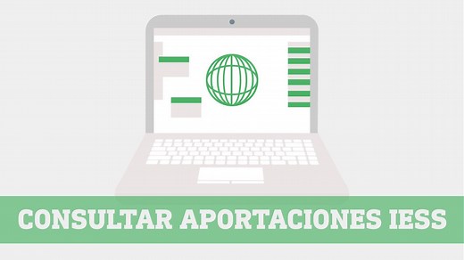 Consultar aportaciones al IESS: número de aportes y valor total