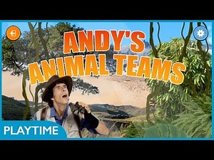 CBeebies Playtime Island | Andy's Animal Teams