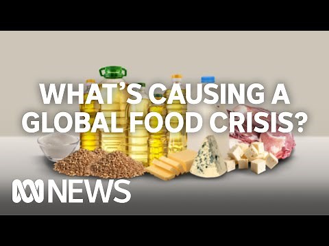 What's causing a global food crisis and is the world running out of food? | ABC News