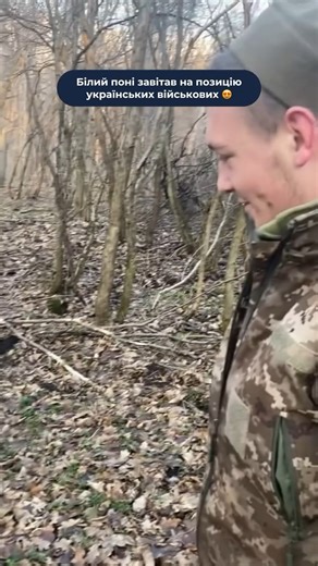 Hello! I'm your new friend. | In Ukraine