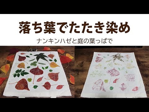 落ち葉でたたき染め（ナンキンハゼ＆庭の葉っぱ）【香りのある暮らしvlog】草木染め実験part３