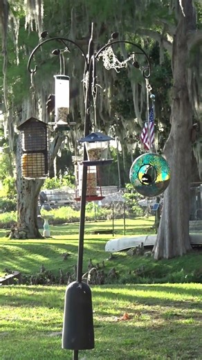 Upcycled Glass Birdbath & Red-Winged Blackbird #short