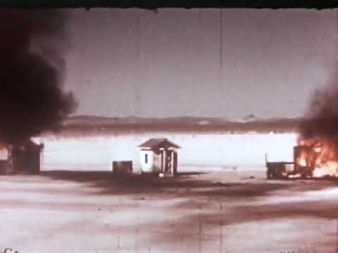 Day Wave - Crush (Official Visuals)