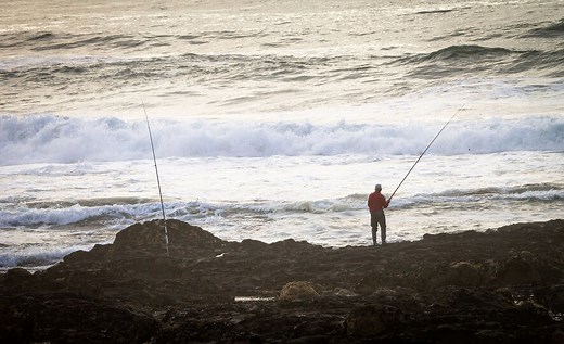 The 14 Best Tackle Bags & Boxes for Saltwater Fishing 2025