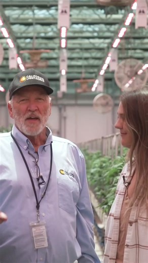 Statehouse/Harborside installed California LightWorks’ MegaDrive LED system in their flagship greenhouse. This system enhances flexibility and efficiency, offering reduced installation costs, lower energy consumption, and improved yield quality. The MegaDrive technology is designed for large-scale greenhouse operations, providing superior control and reliability, making it a perfect replacement for older HPS lighting systems.