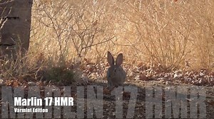 Hunting With The Marlin .17 HMR - The Reloaders Network