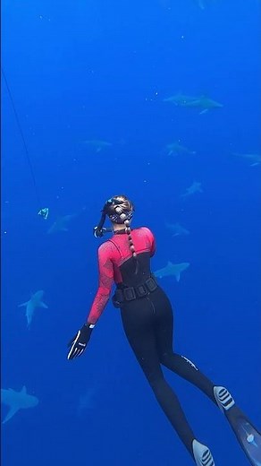 3 Tips on Staying Safe If You Ever Encounter a Shark in the Wild | Scuba.com Shark Week 2023