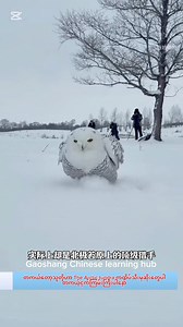 snowy owl (Bubo scandiacus)😍 #fypage #chineselanguagecourse #chineselanguage #foryou #Lovely #sharingknowledge #cuteanimals #sharing | Gao Shang Chinese Learning Hub