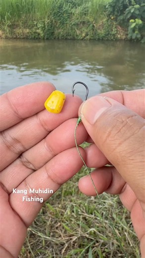 Easy and Effective Fishing Bait Hooking Technique👍👍 #fishing #fishingtips #bassfishing