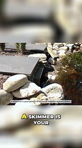 Keep your pond crystal clear with EasyPro Pond Skimmers! 🐟✨ Say goodbye to leaves and debris with these innovative, easy-to-install skimmers. They’ll keep your koi pond or water garden sparkling clean! Durable and efficient, they’re a must-have for any pond enthusiast. Shop now at Webb’s Water Gardens (webbsonline.com)! 🌊 #PondSkimmer #KoiPond #ClearWater | Webb's Water Gardens