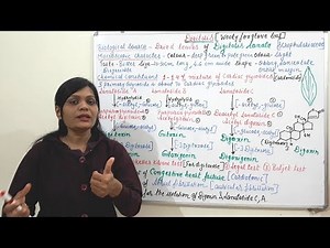 Cardiac Glycoside Containing Drug (Part 02) = Digitalis 02 (Source, Description, Chemical and Uses)