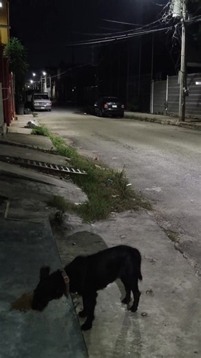 Iluminado y Bendecido por Dios. | Patto Cunn